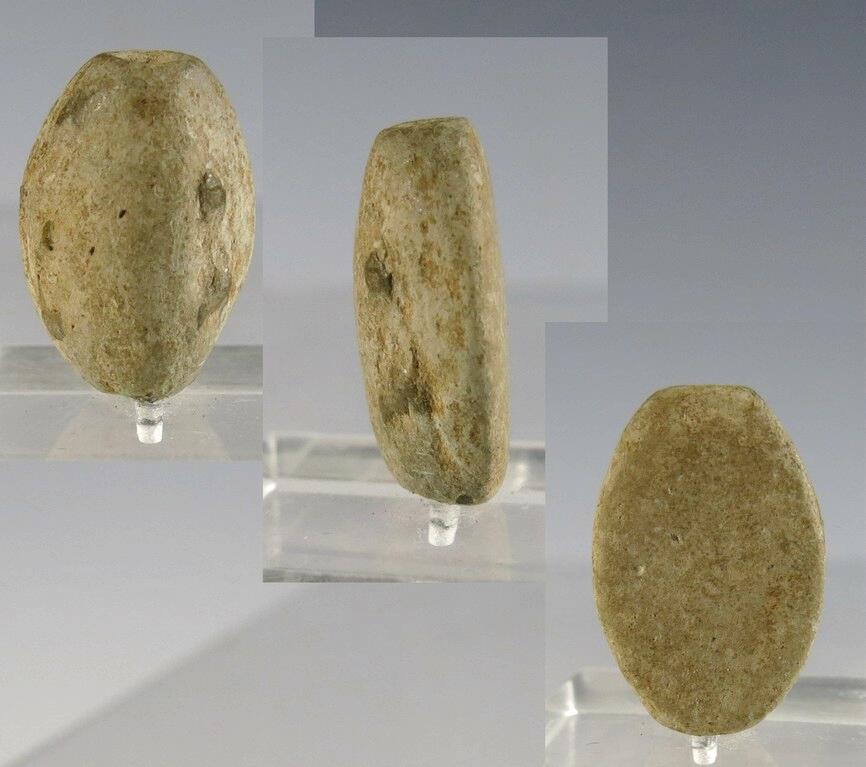 5791. Very inexpensive Egyptian faience cowroid
