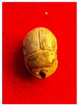 **SOLD**ESc235. Small but fine scarab